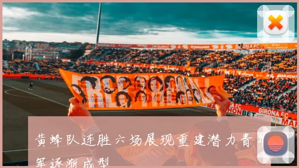 黄蜂队连胜六场展现重建潜力青年军逐渐成型